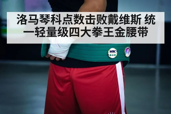 洛马琴科点数击败戴维斯 统一轻量级四大拳王金腰带